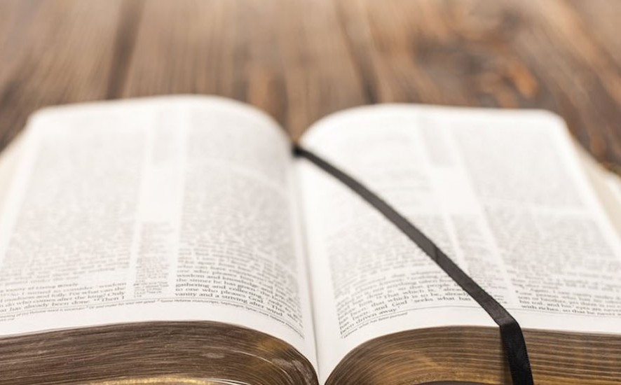 bible